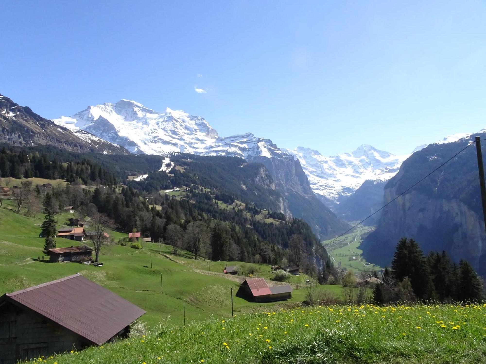 Chalet Alpina Gyger Wengen Eksteriør bilde