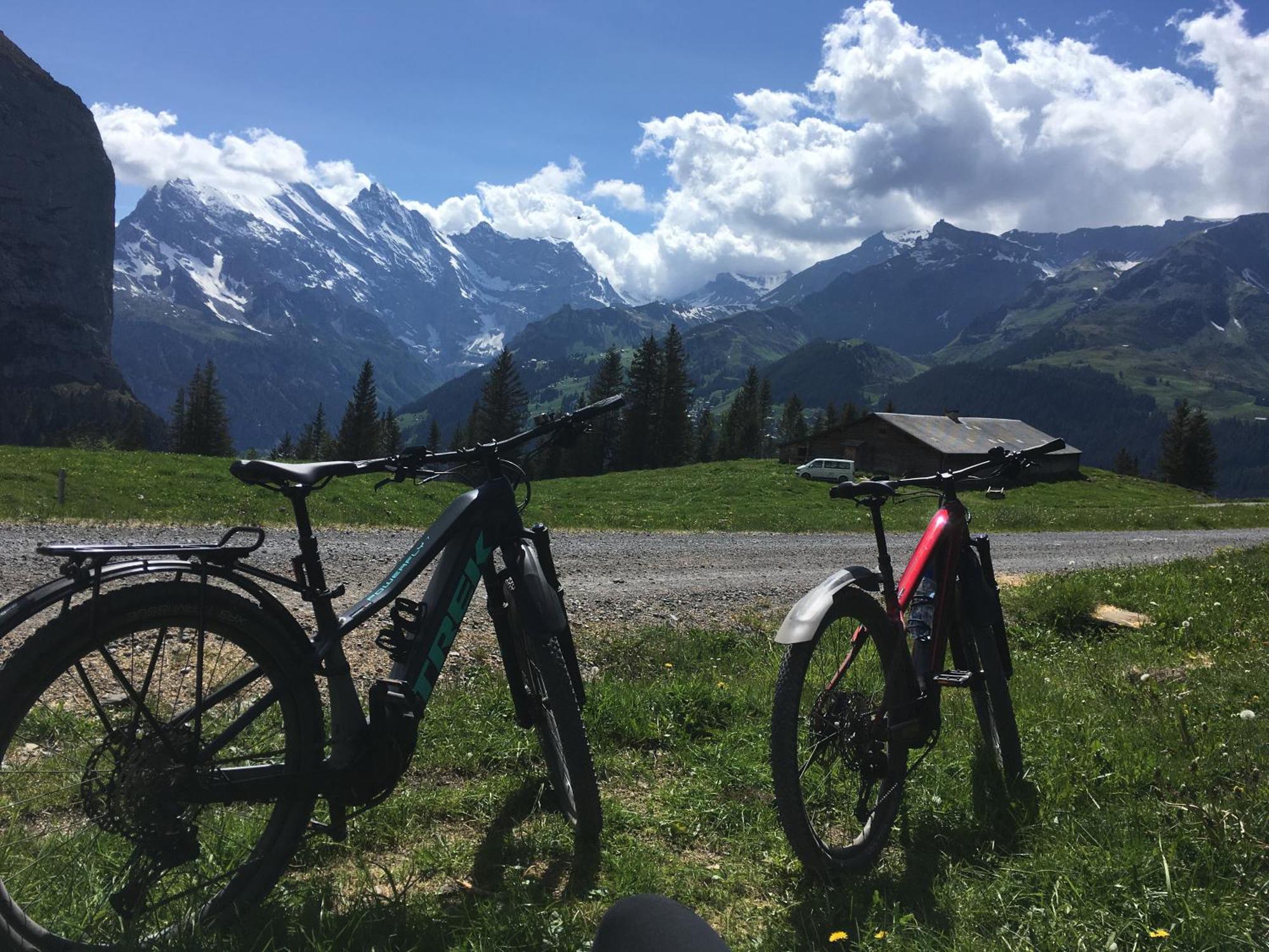 Chalet Alpina Gyger Wengen Eksteriør bilde