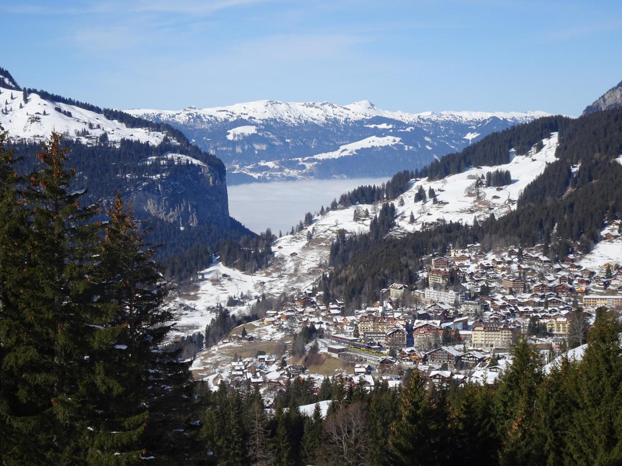 Chalet Alpina Gyger Wengen Eksteriør bilde