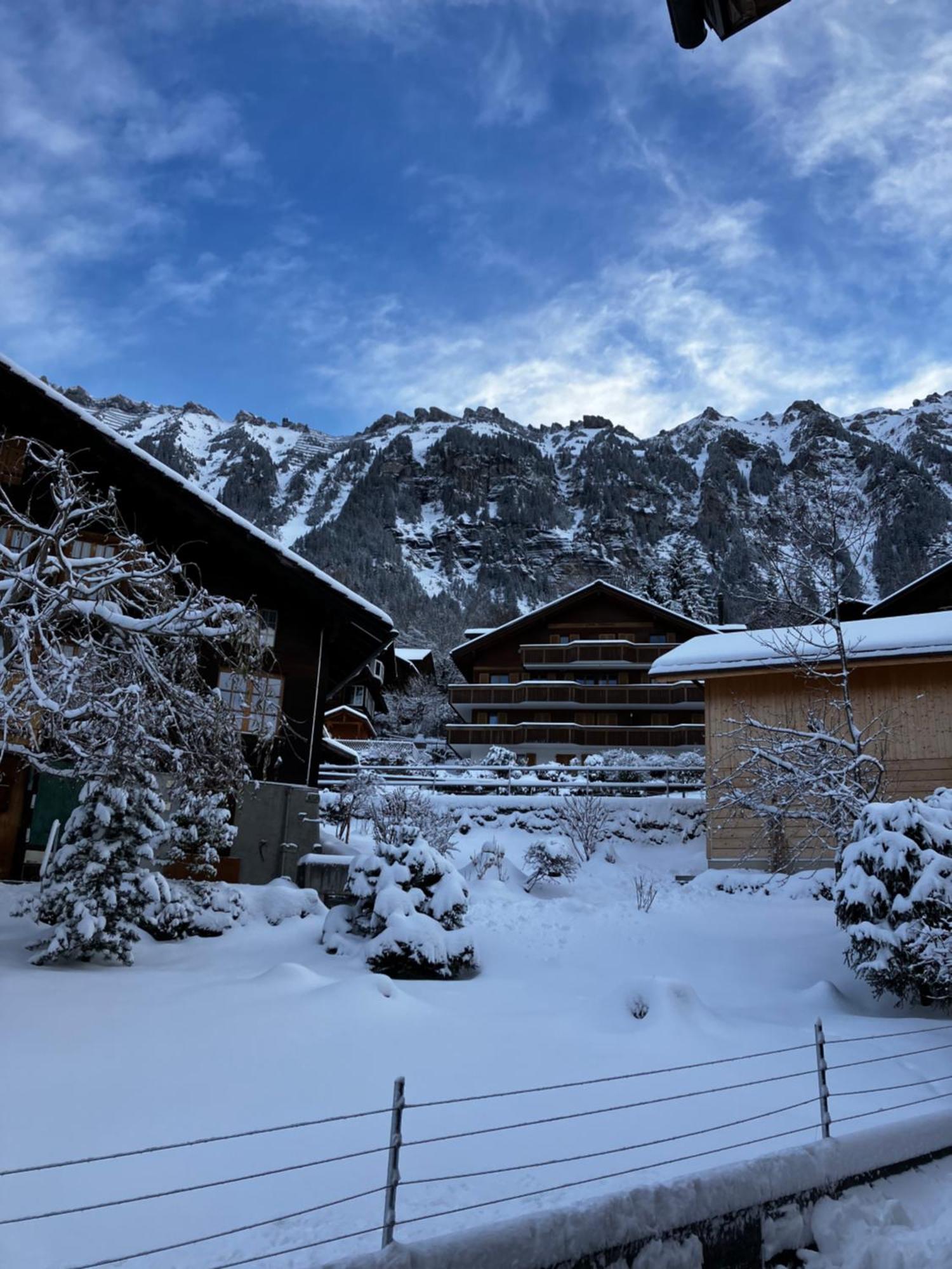Chalet Alpina Gyger Wengen Eksteriør bilde